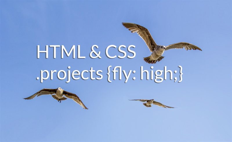 Vögel fliegen hoch - so hoch wird Du mit Deienr Website ranken, wenn du HTML lernst!