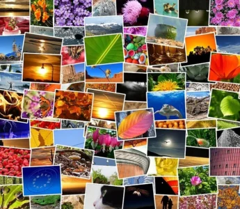 Bilder in WordPress korrekt einbinden