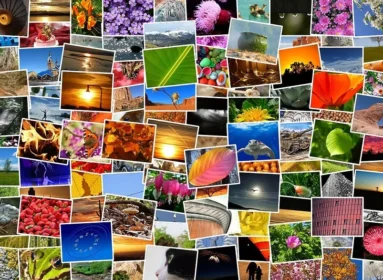 Bilder in WordPress korrekt einbinden