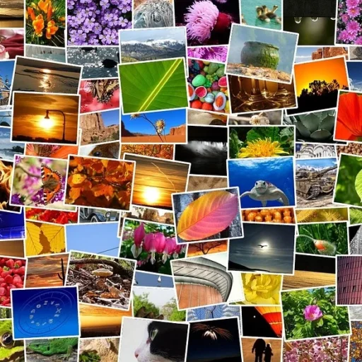 Bilder in verschiedenen Größen auf der Website