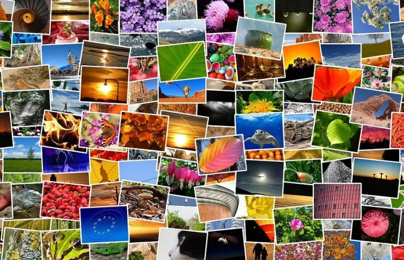 Bilder in verschiedenen Größen auf der Website