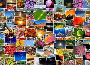 Bilder in WordPress korrekt einbinden
